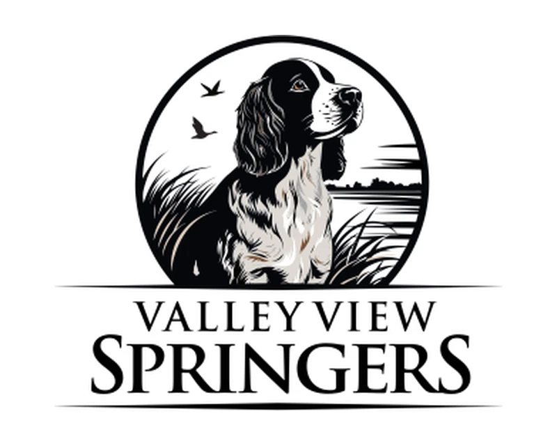 Custom dog breeder logo design example