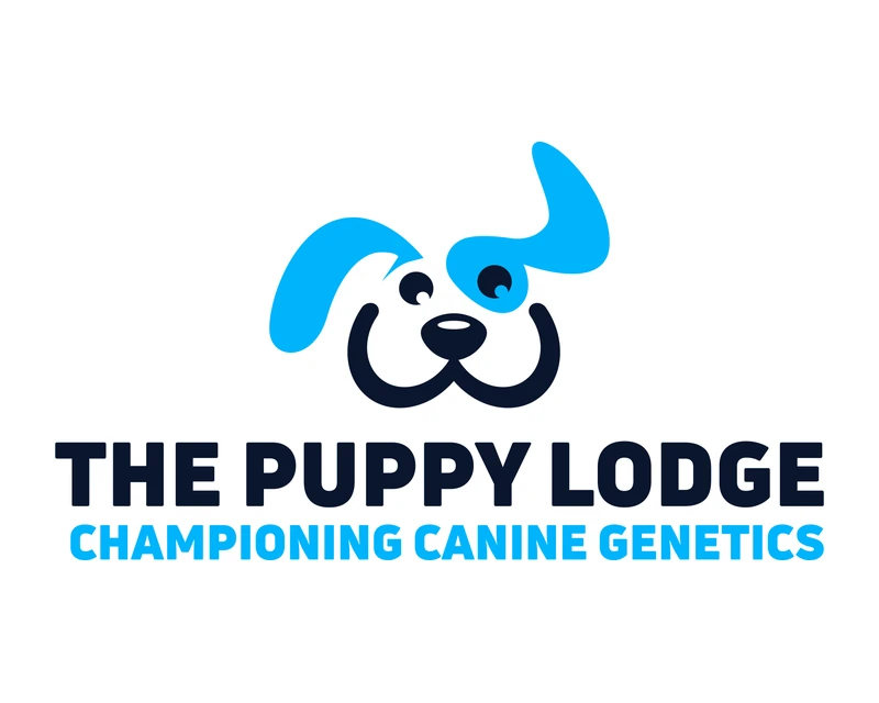Custom dog breeder logo design example